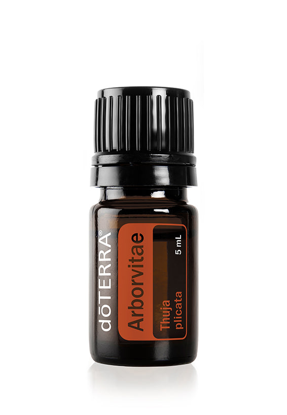 Arborvitae