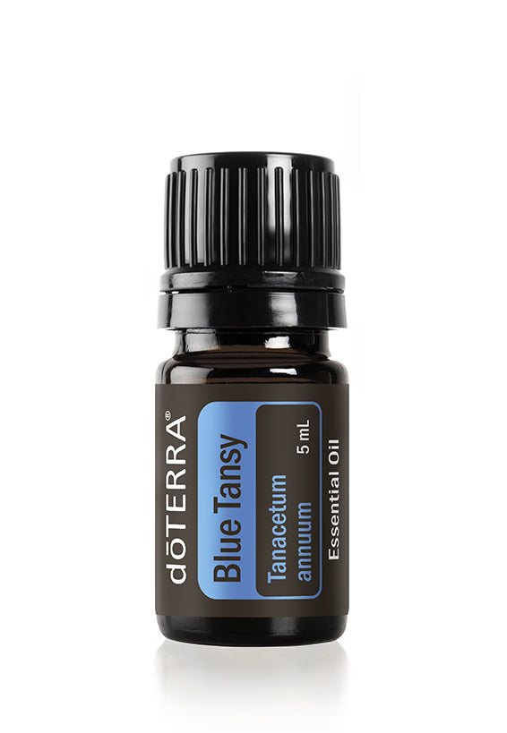 Blue Tansy Oil