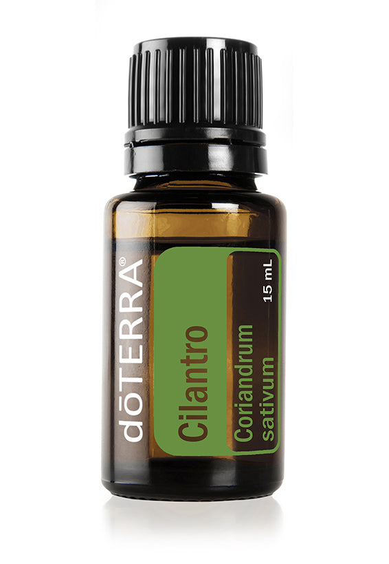 Cilantro Oil